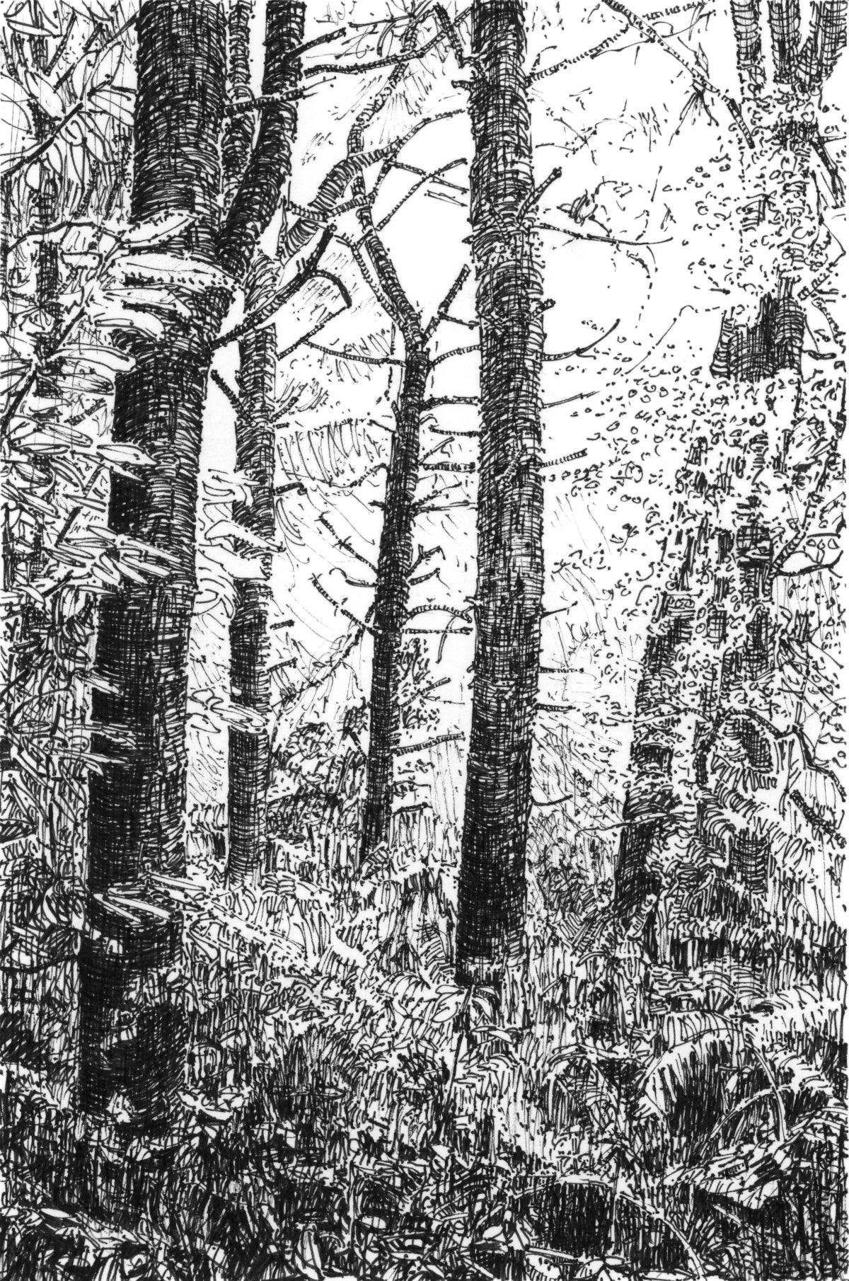 Trees