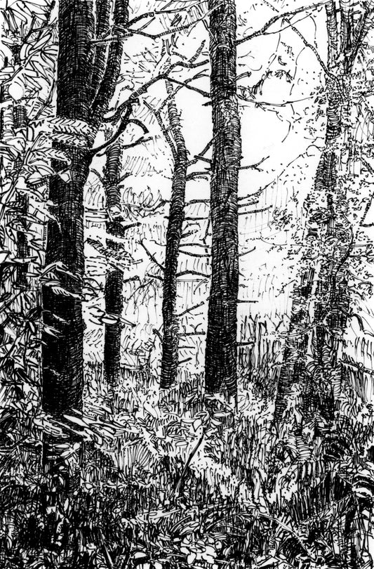 Trees