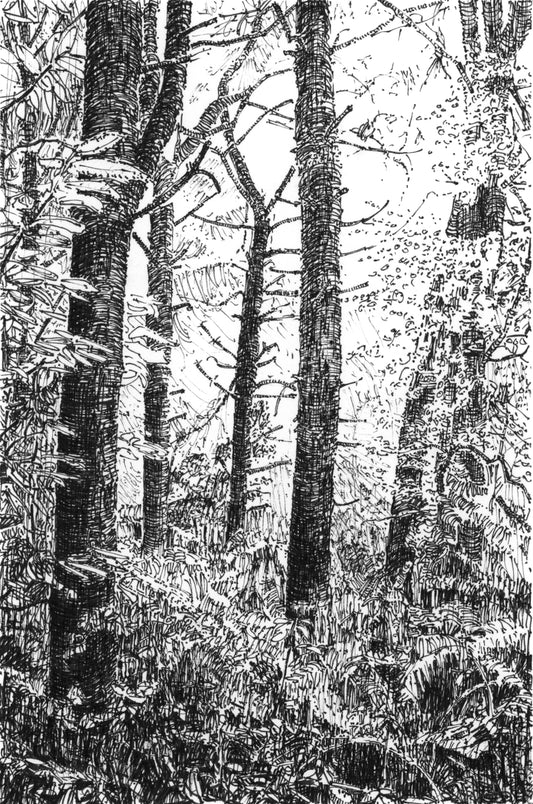 Trees, Wales  — Original Ink Drawing and Giclée Art Print