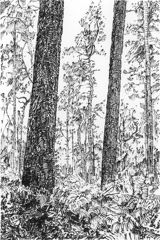 Twin Trees, Wales — Original Ink Drawing and Giclée Art Print