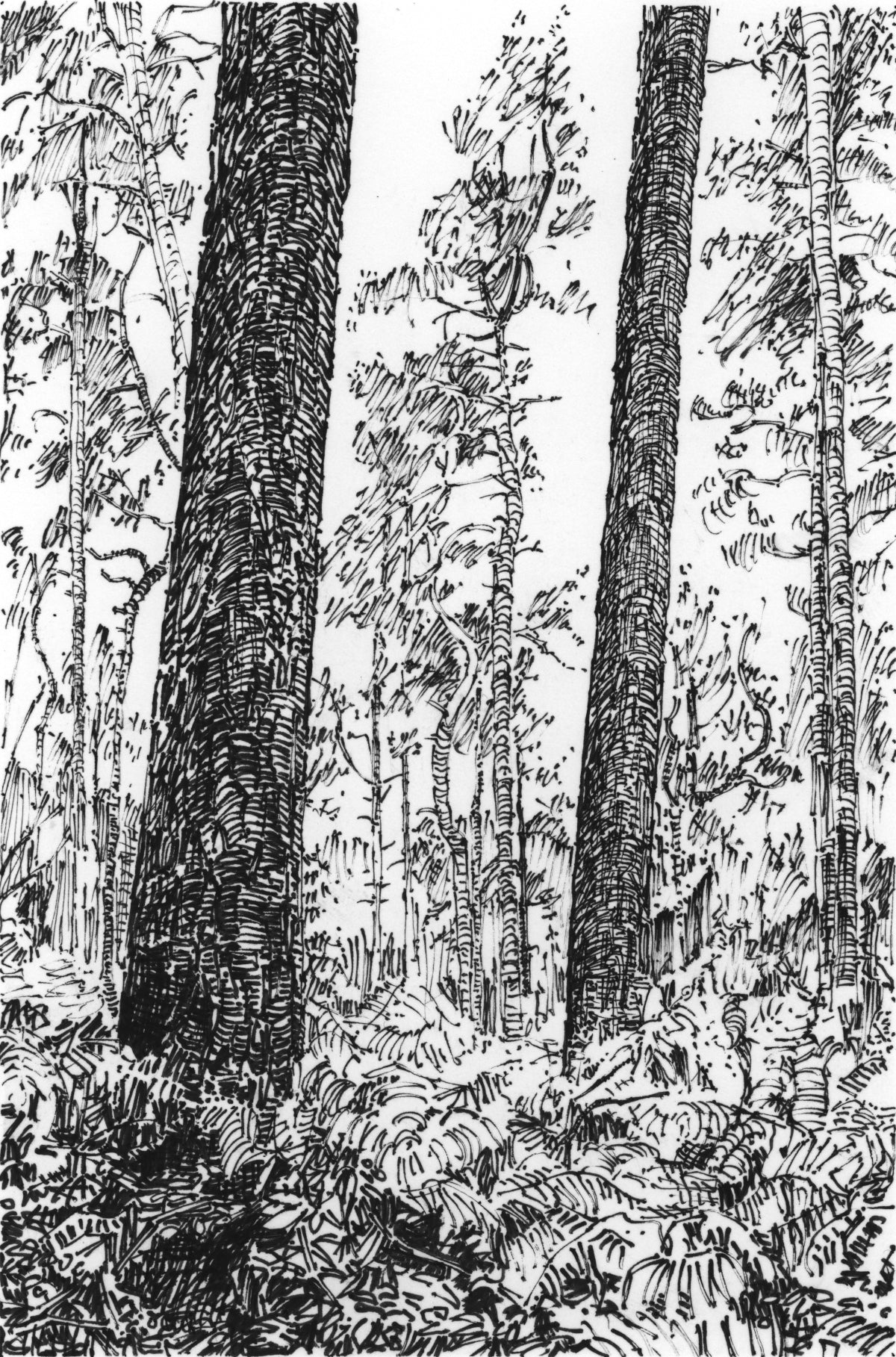 Double trees